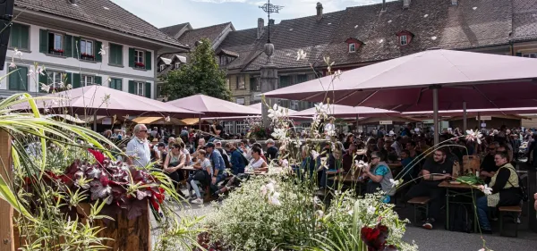Der Käsemarkt steht vor der Tür!