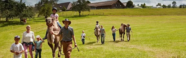 Trottiplausch und Kameltrekking