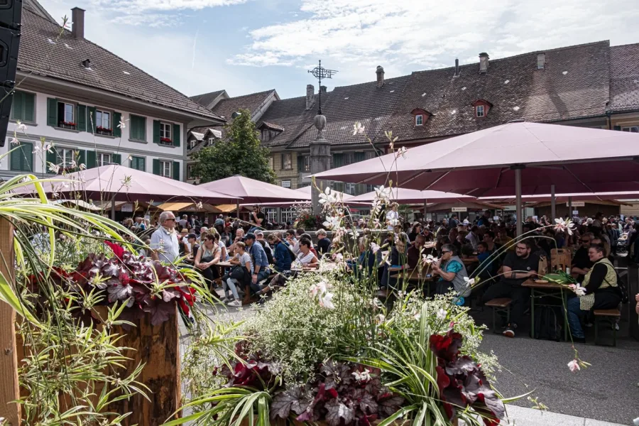 Der Käsemarkt steht vor der Tür!